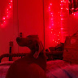 Meet your Posher, Mackenzie